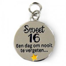 08360 Charms for You hangertje - Sweet 16