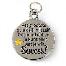 Charms for You hangertje - Succes