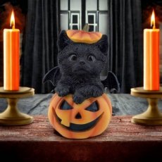 Kat zwart in Halloweenpompoen