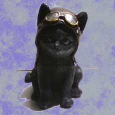 Kat Zwart - Met vliegershoed