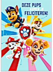 3062-10 Muziek Wenskaart Paw Patrol met 'doe' knopje