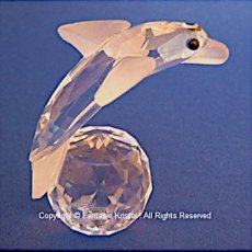 Kristal Dolfijn op bal