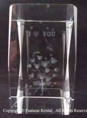 3D Laserblok Bloemen met vlinders 'I love you'